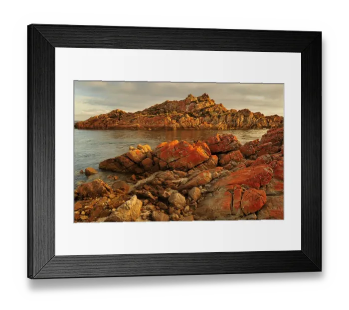 Framed Print : Wild and scenic, the West coast of Tasmania in the Tarkine region, Australia Framed Print : Wild and scenic, the West coast of Tasmania in the Tarkine region, Australia