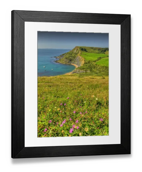Framed Print : View to Chapmans pool on the coastline of Dorset England