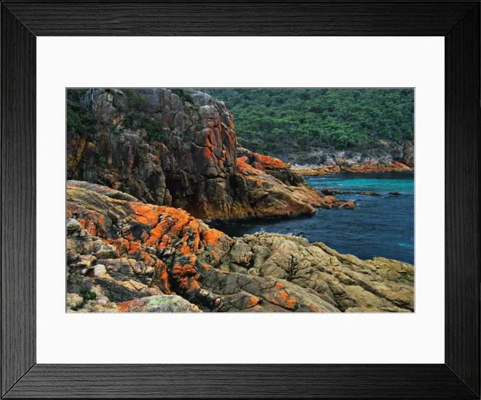 Framed Print : Sleepy bay, Tasmania, Australia