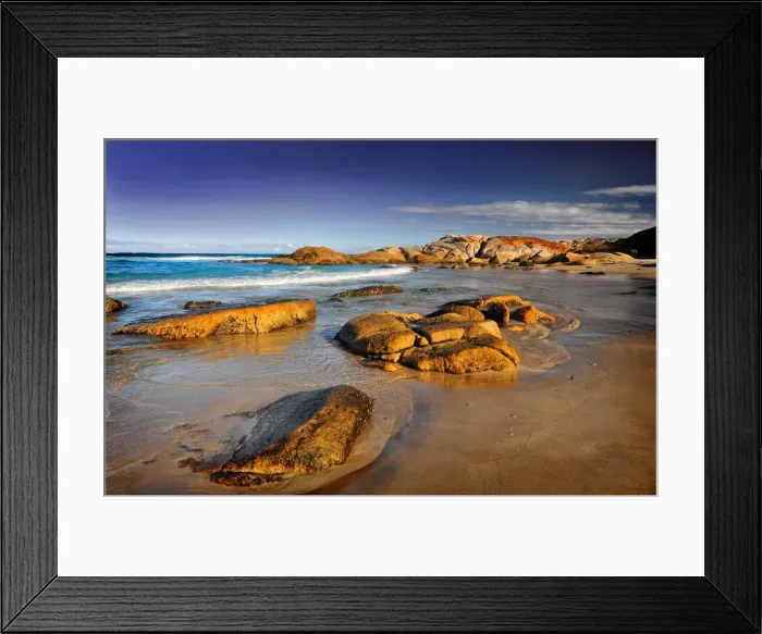 Framed Print : Conservation area on the coastline near St. Helens, Tasmania, Australia