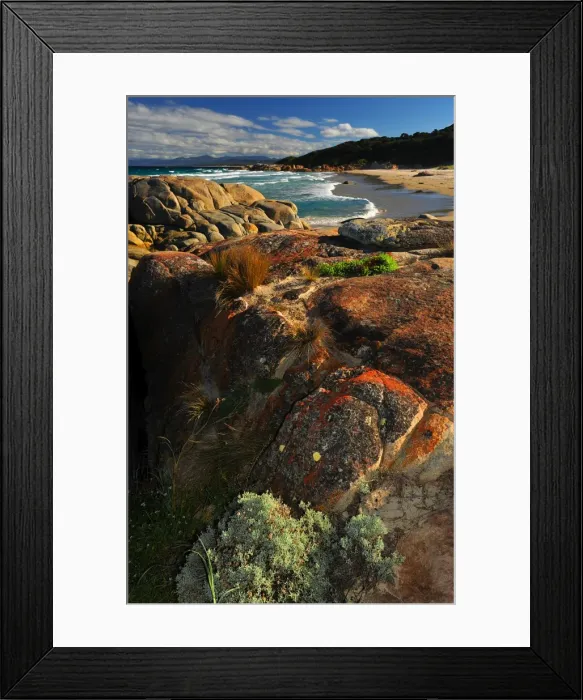 Framed Print : Conservation area on the coastline near St. Helens, Tasmania, Australia