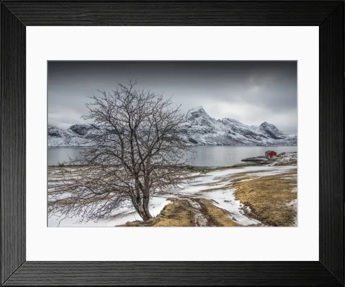Framed Print : The Winter Wonderland of the Lofoten Peninsular, Arctic circle, Norway Framed Print : The Winter Wonderland of the Lofoten Peninsular, Arctic circle, Norway