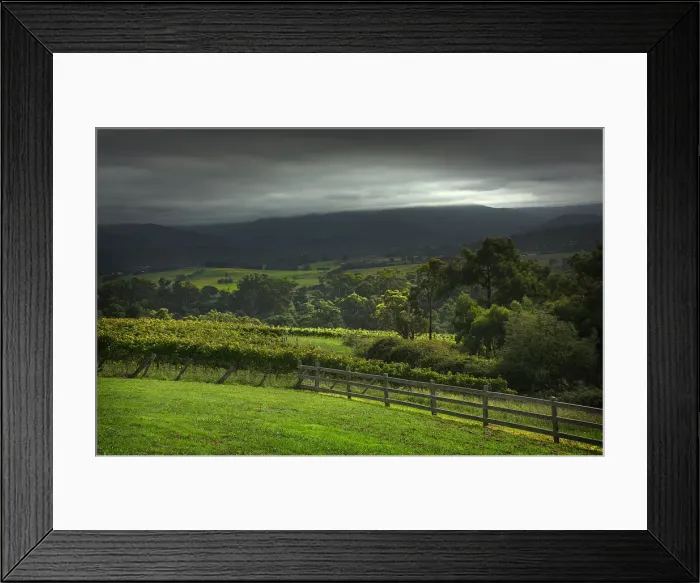 Framed Print : The Rolling hills at Riverstone, Yarra Valley, Victoria, Australia Framed Print : The Rolling hills at Riverstone, Yarra Valley, Victoria, Australia