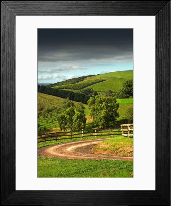 Framed Print : The Rolling hills at Riverstone, Yarra Valley, Victoria, Australia Framed Print : The Rolling hills at Riverstone, Yarra Valley, Victoria, Australia