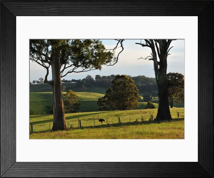 Framed Print : Countryside near Bairnsdale, Victoria, Australia Framed Print : Countryside near Bairnsdale, Victoria, Australia