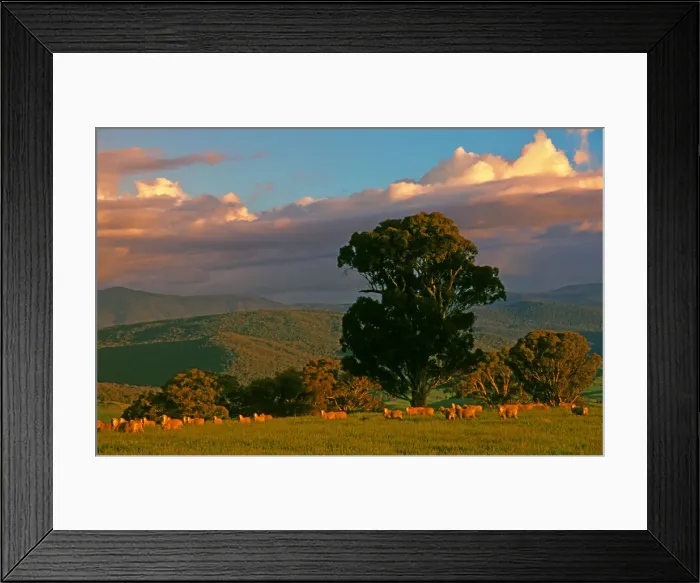 Framed Print : A rural scene, Tooma, north east Victoria, Australia Framed Print : A rural scene, Tooma, north east Victoria, Australia