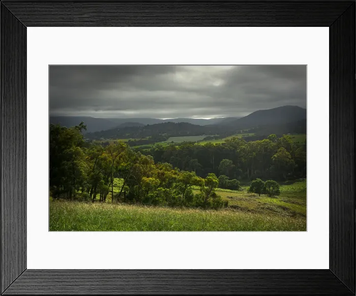 Framed Print : The Rolling hills at Riverstone, Yarra Valley, Victoria, Australia Framed Print : The Rolling hills at Riverstone, Yarra Valley, Victoria, Australia