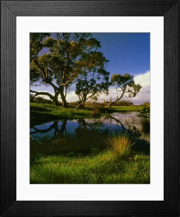 Framed Print : Screw Creek, Inverloch, Victoria, Australia Framed Print : Screw Creek, Inverloch, Victoria, Australia