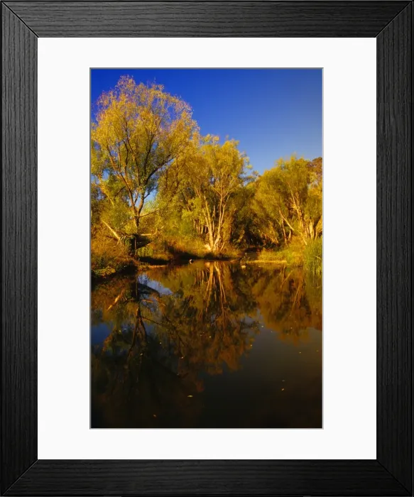 Framed Print : Tambo river reflections, Victoria, Australia