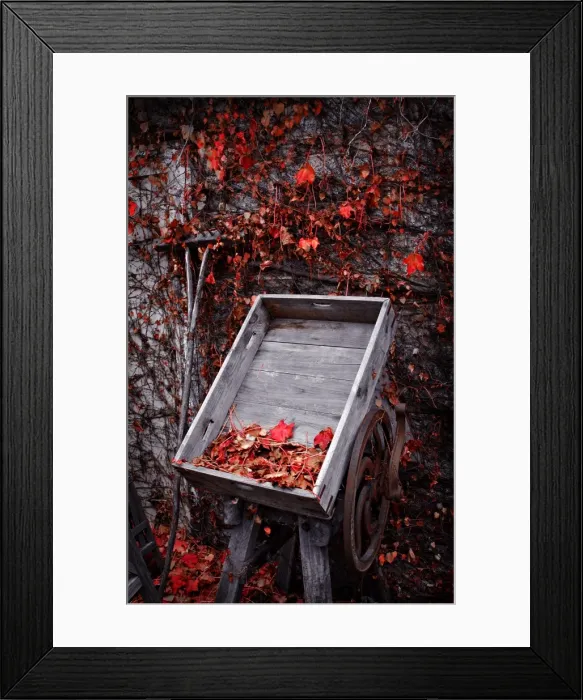 Framed Print : Old cart and red leaves in Autumn, Bright, Victoria, Australia