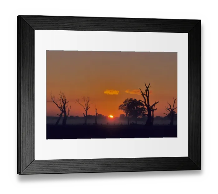 Framed Print : Rising sun at Carrum downs, Victoria, Australia
