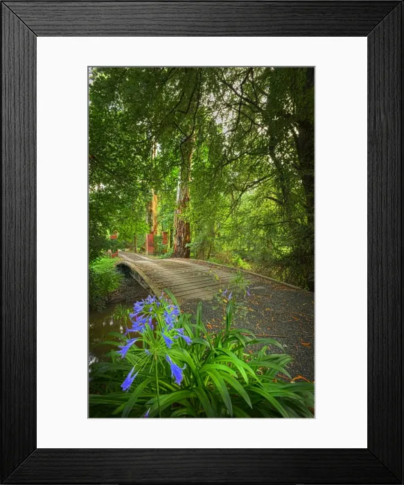 Framed Print : Roadway in the Dandenongs, Victoria, Australia