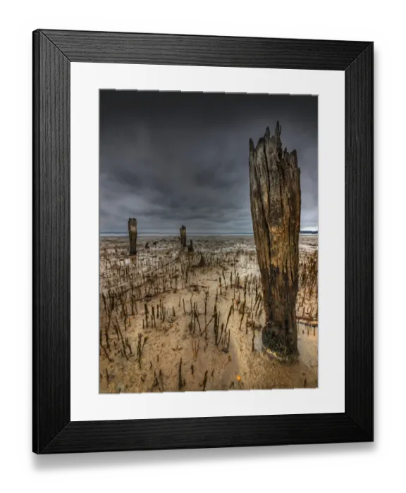 Framed Print : The derelict Queensferry jetty, Western-port bay, Victoria, Australia