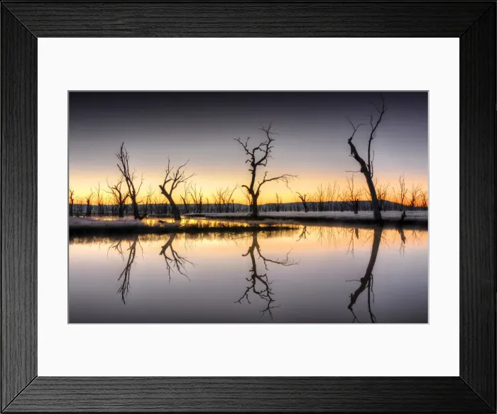 Framed Print : Pre-dawn light on the Winton wetlands, Central Victoria, Australia