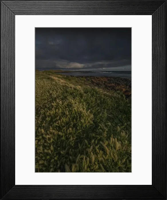 Framed Print : Port Fairy coastline, Victoria, Australia
