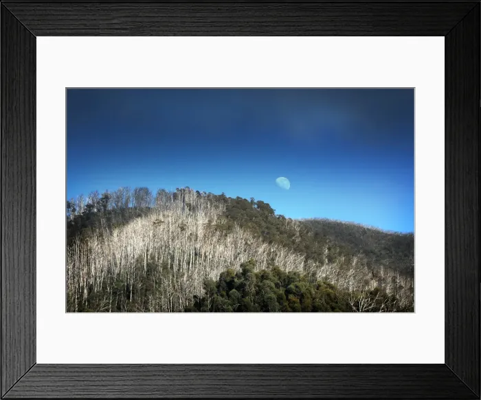 Framed Print : Moonrise on the Bogong high country, Victoria, Australia Framed Print : Moonrise on the Bogong high country, Victoria, Australia