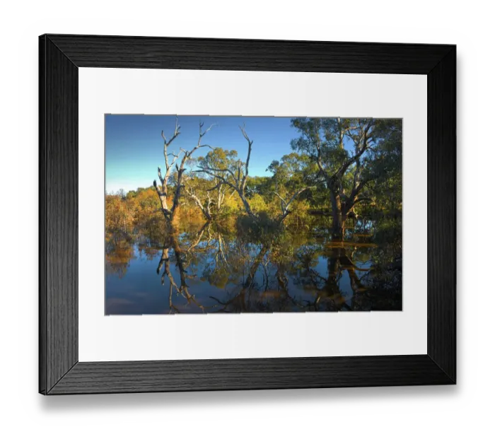 Framed Print : Creek reflections at Mount Ida, Victoria, Australia Framed Print : Creek reflections at Mount Ida, Victoria, Australia