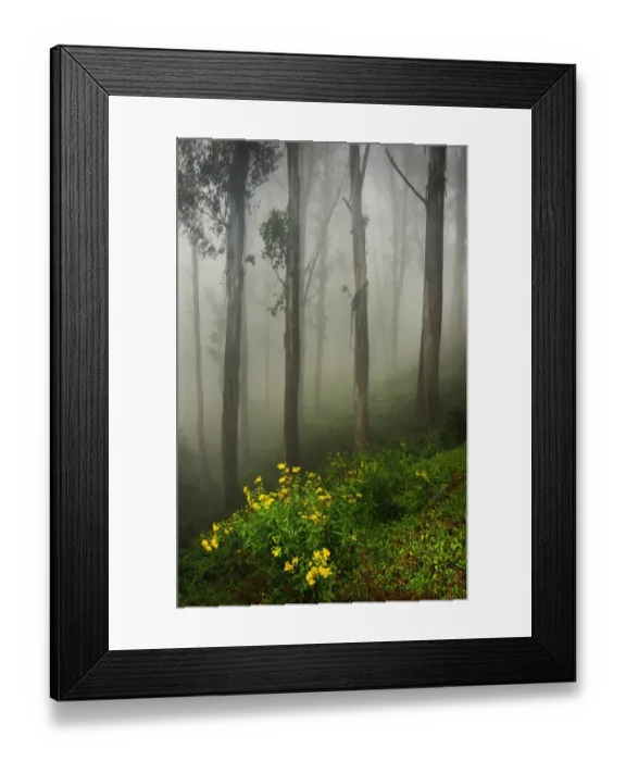 Framed Print : Misty conditions during winter on Mount Buller, Victoria, Australia