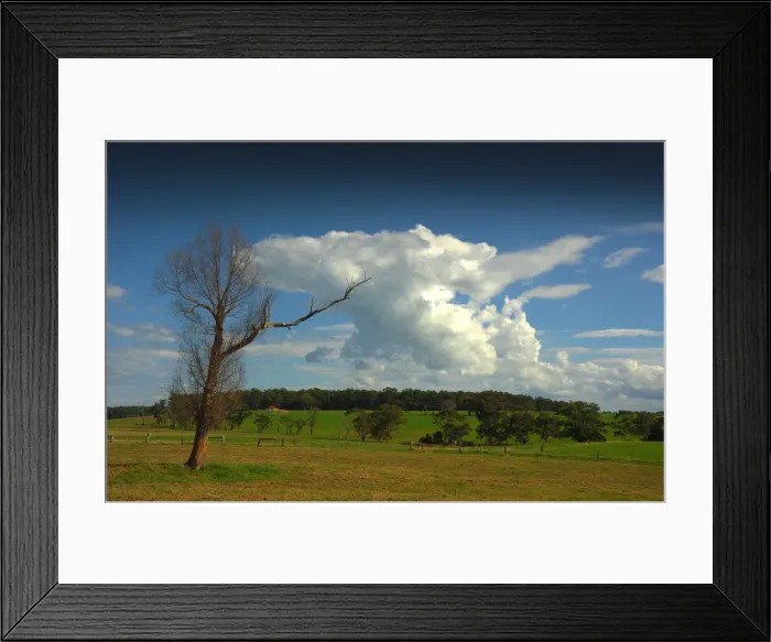 Framed Print : Rural farmland at Nerrena, South Gippsland, Victoria, Australia