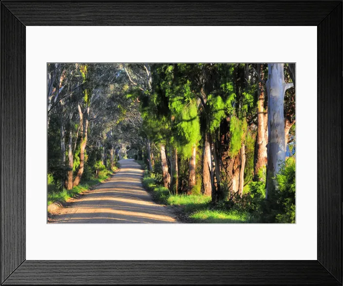 Framed Print : A rural road near Bairnsdale, Victoria, Australia Framed Print : A rural road near Bairnsdale, Victoria, Australia