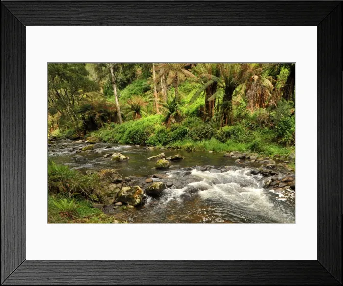 Framed Print : Otway rainforest, Victoria, Australia