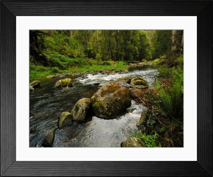 Framed Print : Otway rainforest, Victoria, Australia