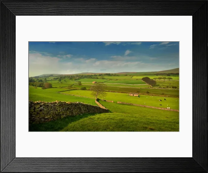 Framed Print : A tranquil view of farmland in the Yorkshire dales, England, United Kingdom