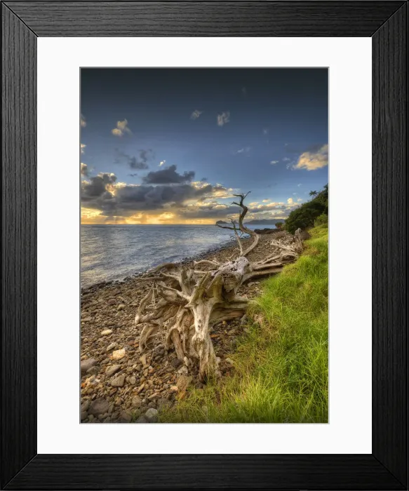 Framed Print : Coastline on Lord Howe Island