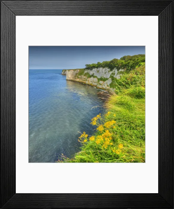 Framed Print : A view to Old Harry rocks, Jurassic coastline, Dorset, England, United Kingdom Framed Print : A view to Old Harry rocks, Jurassic coastline, Dorset, England, United Kingdom