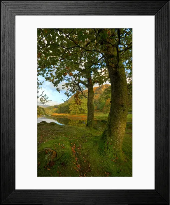 Framed Print : Rydal water, Lakes district, Cumbria, England, United Kingdom Framed Print : Rydal water, Lakes district, Cumbria, England, United Kingdom