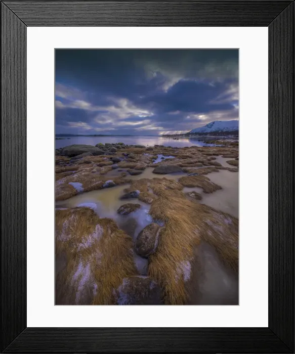 Framed Print : Frozen Grassland along the coastline in Lofoten