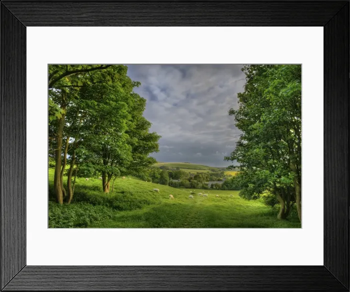 Framed Print : Kimmeridge, Dorset, Jurassic coastline, England, United Kingdom