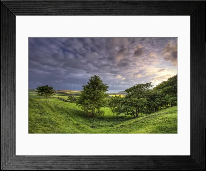 Framed Print : Kimmeridge, Dorset, Jurassic coastline, England, United Kingdom Framed Print : Kimmeridge, Dorset, Jurassic coastline, England, United Kingdom