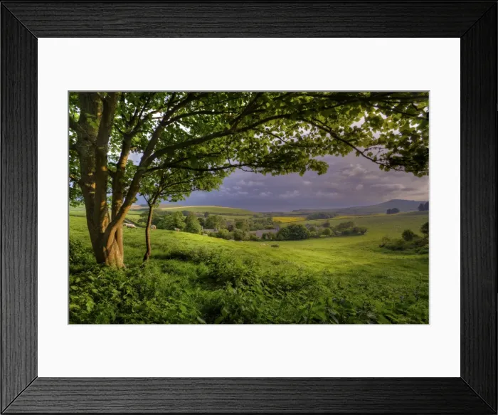 Framed Print : Kimmeridge, Dorset, Jurassic coastline, England, United Kingdom