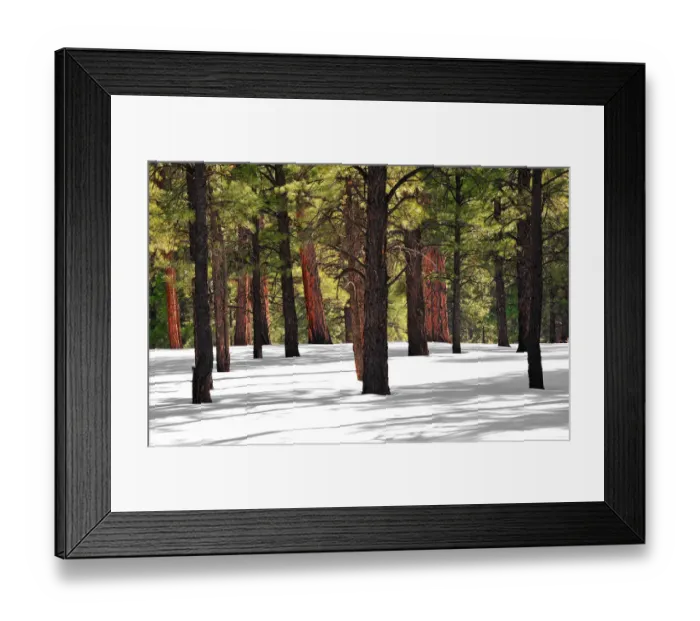 Framed Print : Pondersoa Pines, Arizona, south western United States of America Framed Print : Pondersoa Pines, Arizona, south western United States of America