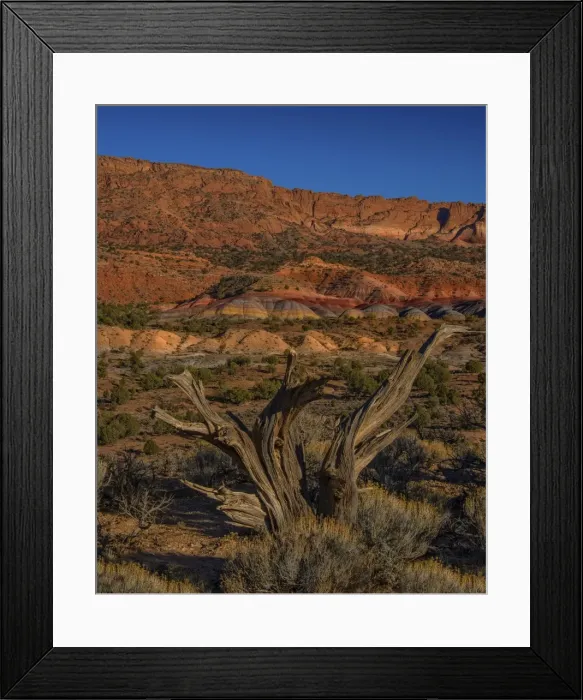 Framed Print : Paria Wilderness, Arizona, south western United States of America