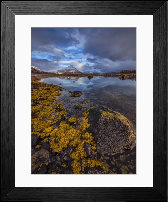 Framed Print : Coastline Austvagoya