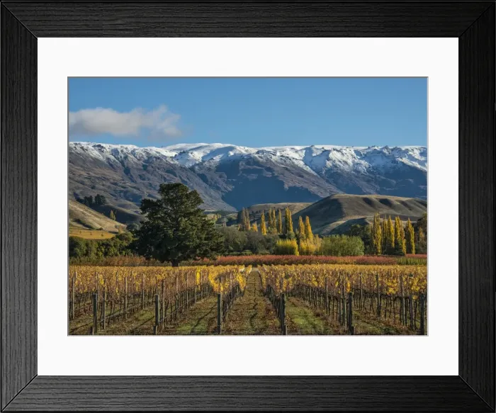 Framed Print : Autumn at Cromwell