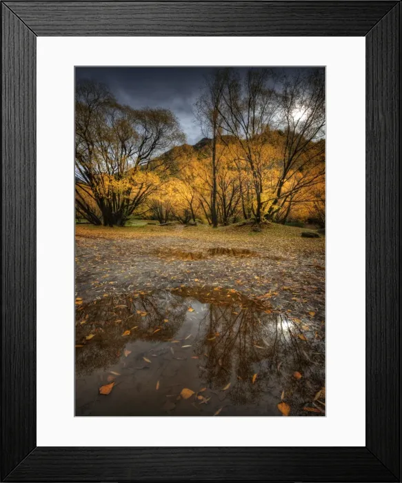 Framed Print : Autumn reflections in Arrowtown