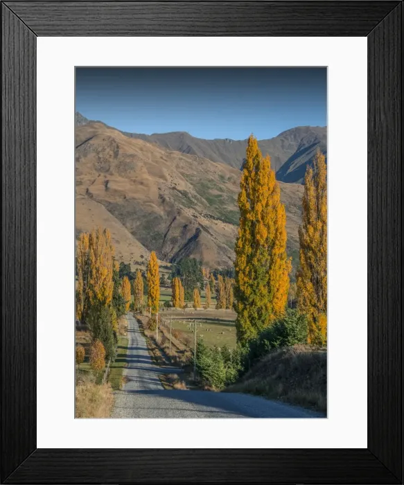 Framed Print : Autumn in Wanaka