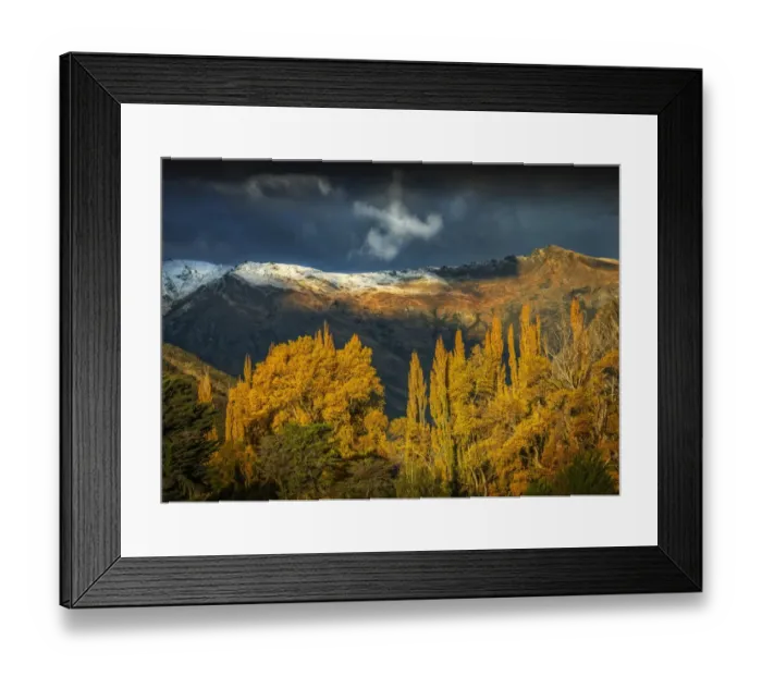 Framed Print : Autumn near the Crown Range