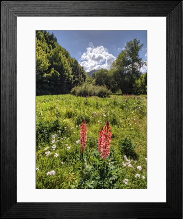 Framed Print : Arrowtown Autumn Framed Print : Arrowtown Autumn