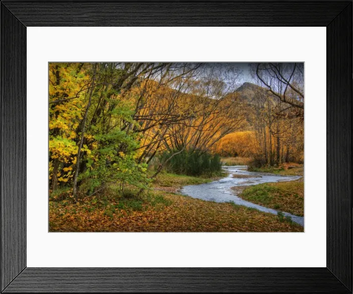 Framed Print : Autumn in Arrowtown