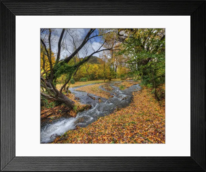 Framed Print : Autumn in Arrowtown