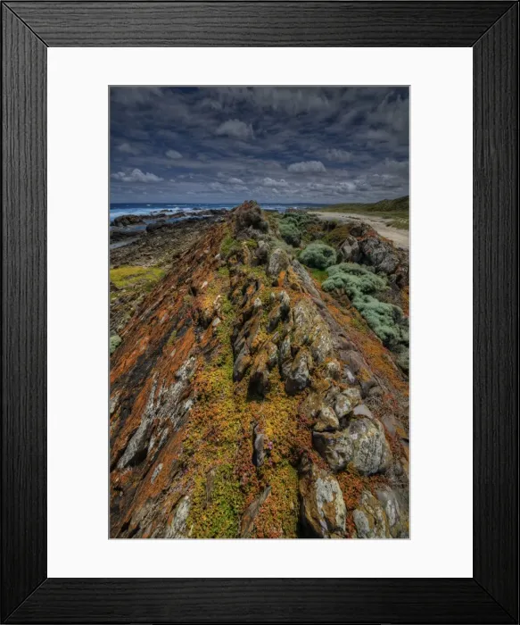 Framed Print : Coastline near the Cataraqui shipwreck
