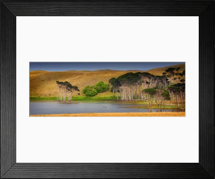 Framed Print : Cask lake. A panoramic view of Cask lake in the northern area of King island