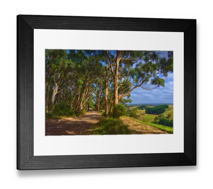 Framed Print : Moonlight head, shipwreck coastline, Victoria, Australia