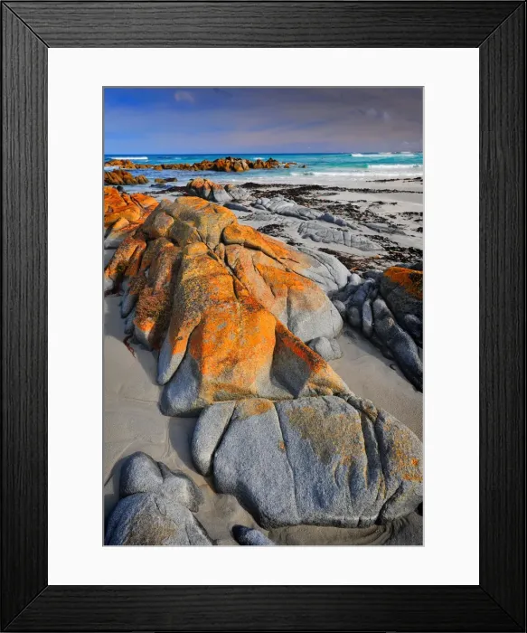 Framed Print : British Admiral Beach