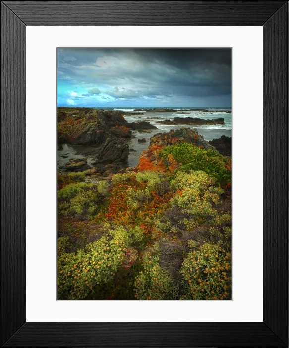Framed Print : British Admiral rocky coastline