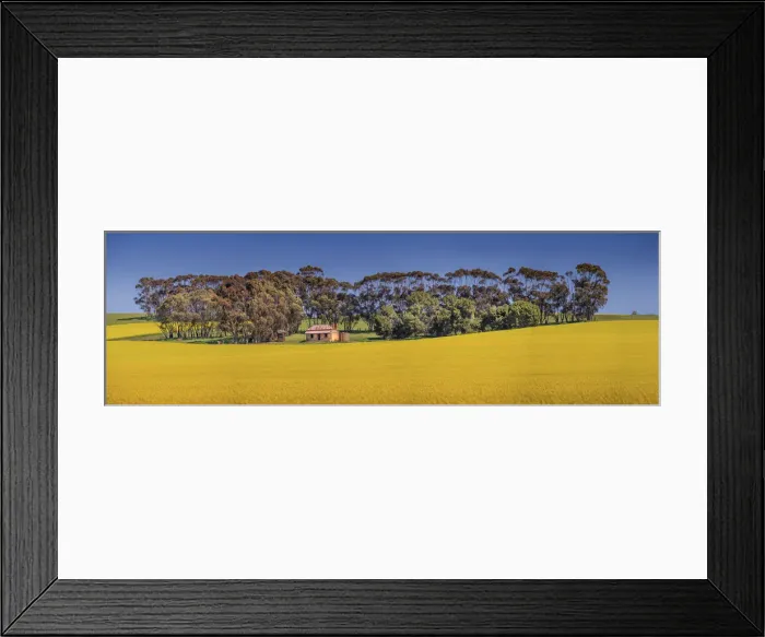 Framed Print : Clare valley panorama Framed Print : Clare valley panorama